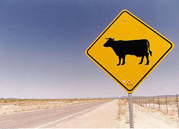 F1赛车新游《New Star GP》上架steam 复古街机风